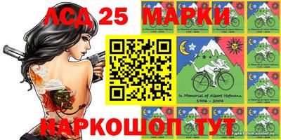 индика Краснознаменск