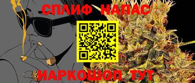 индика Краснознаменск