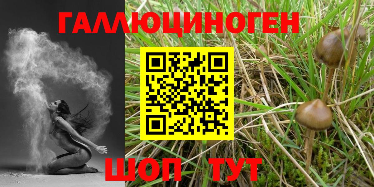 Псилоцибиновые грибы Psilocybine cubensis  Псилоцибиновые грибы Cubensis  Вход с VPN  Каспийск 